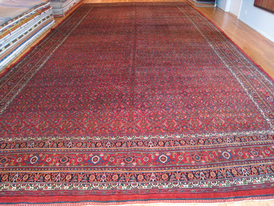 Oversize Antique Bijar Carpet