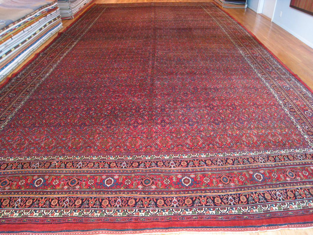 Oversize Antique Bijar Carpet